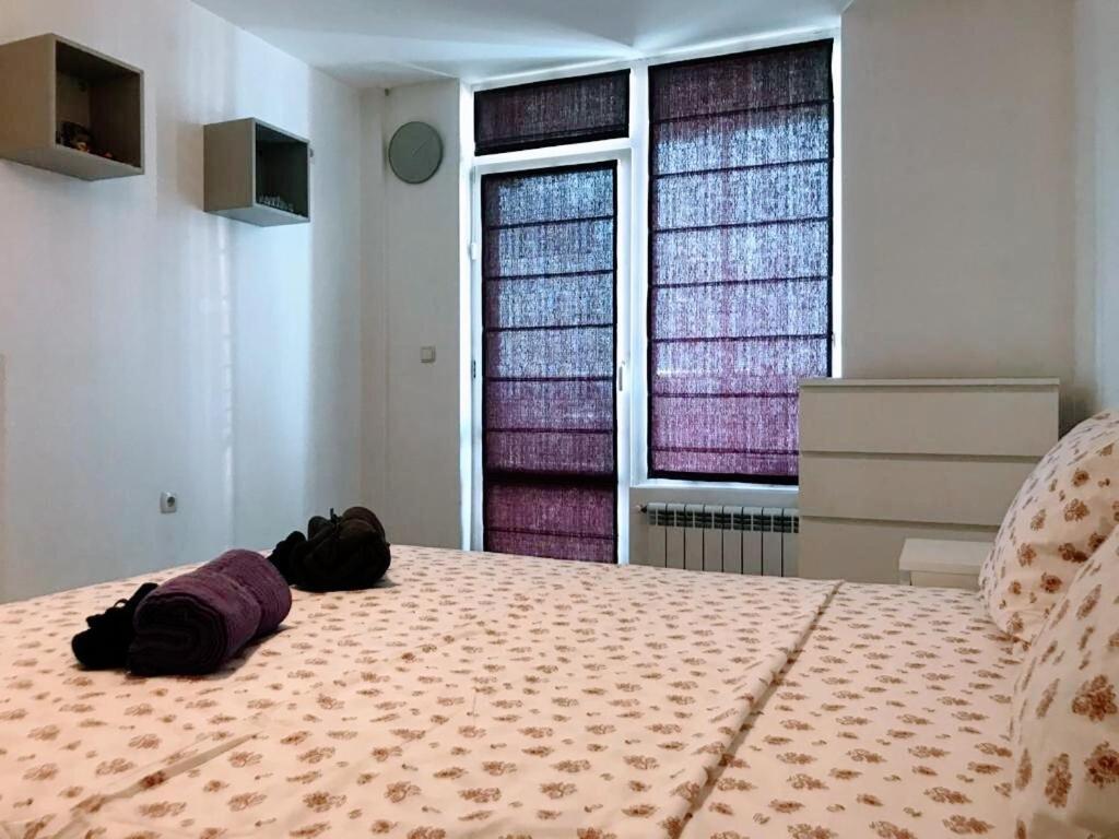 Sunny 1- Bdr In Banishora District Apartment Sofia Exterior photo