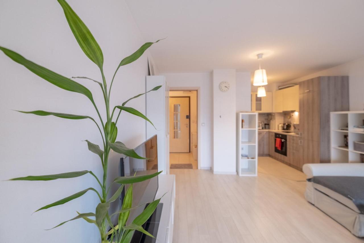 Sunny 1- Bdr In Banishora District Apartment Sofia Exterior photo